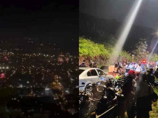 Impacto de la pólvora en las mascotas genera preocupación durante festividades