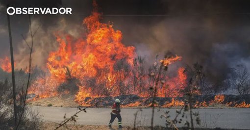 Iniciativa Liberal Doa Verbas da 'Rentrée' a Vítimas dos Incêndios de Arganil