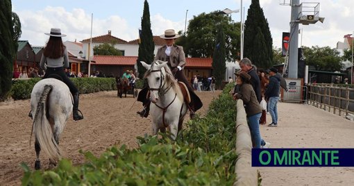 Feira Nacional do Cavalo na Golegã Formaliza Candidatura a Património da UNESCO