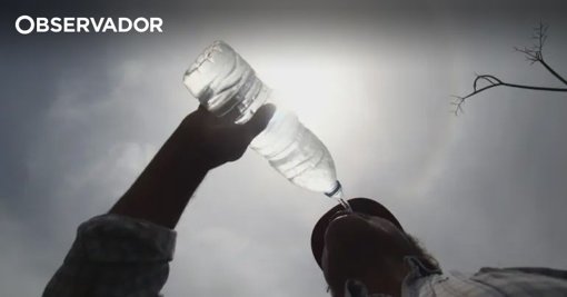 Calor extremo em Portugal provoca quebra de produtividade e excesso de mortalidade