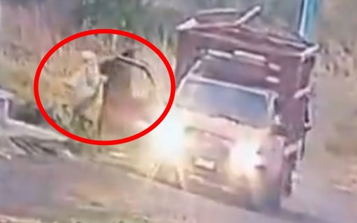 Violencia en Michoacán: hallan cuatro cuerpos desmembrados en Cuitzeo