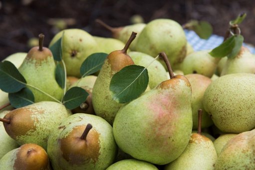 Jerónimo Martins adquire o grupo hortofrutícola Luís Vicente