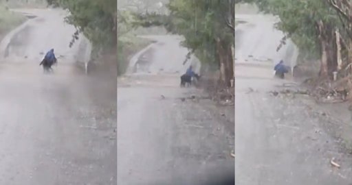 Lluvias torrenciales en Veracruz dejan un muerto y activan Plan DN-III-E