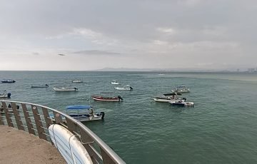 Turista estadounidense muere tras colisión de una embarcación con una ballena en Puerto Vallarta