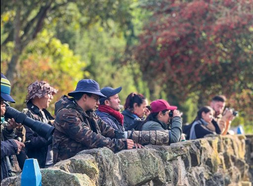 Sopó se une a jornada mundial de ciencia ciudadana con el 'October Big Day'