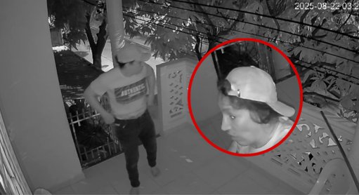 Héroe canino: Perro frustra intento de robo en una vivienda de Santa Marta