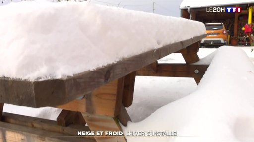 Vague de froid et neige : l'hiver s'installe précocement en France