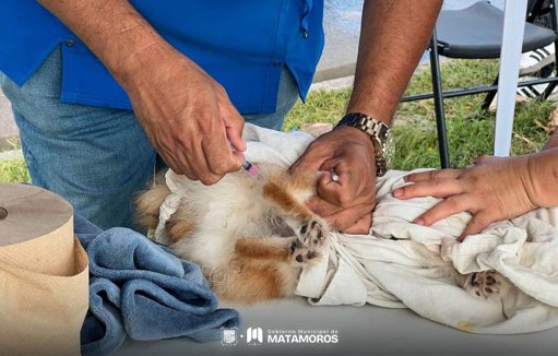 Administración de Matamoros Fomenta el Bienestar Comunitario y la Salud Pública