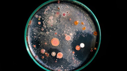 Científicos reviven microbios de 40.000 años del permafrost, revelando un riesgo climático latente