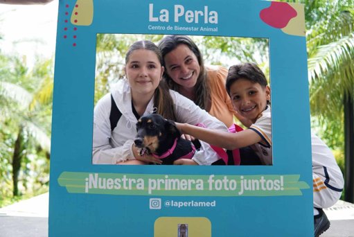 Exitosa jornada de adopción en Medellín logra un hogar para 49 animales de La Perla