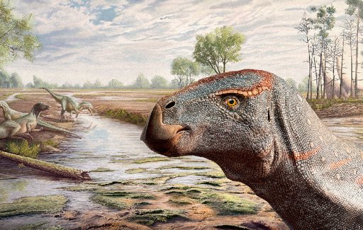 Nova espécie de dinossauro iguanodonte descoberta em Sesimbra