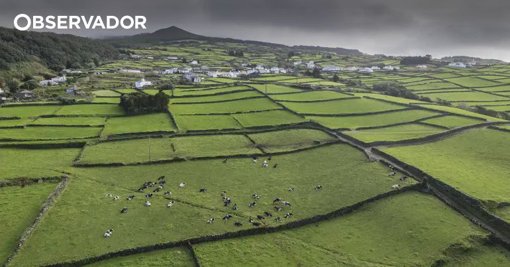 Atividade Sísmica Persistente na Ilha Terceira Mantém População em Alerta