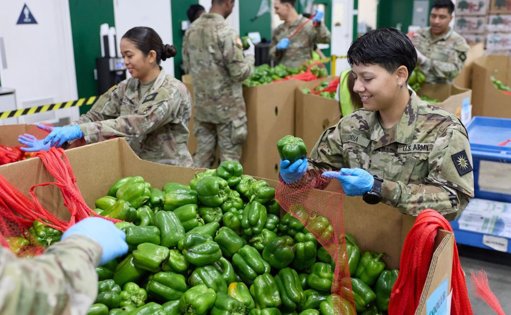 Cierre del Gobierno Federal por Disputa Presupuestaria