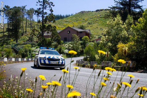 PSP Lança Operação "Escola Segura" para Proteger Quase um Milhão de Alunos