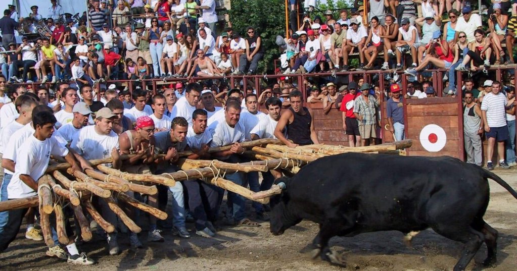 Tradição das Capeias Arraianas atrai milhares de pessoas ao Sabugal