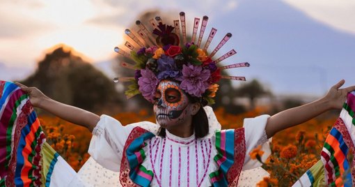 La Cinémathèque de Toulouse, en travaux, poursuit sa programmation "hors les murs"