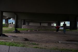 El programa "Parques Vivos" genera debate por su doble enfoque en Pereira