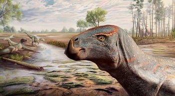 Descoberta em Portugal nova espécie de dinossauro com 125 milhões de anos