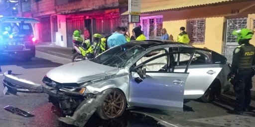 Rescate de perrita y sus cachorros en Ibagué moviliza a las autoridades