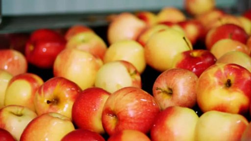 México inicia investigación por dumping en importaciones de manzana de EE.UU.