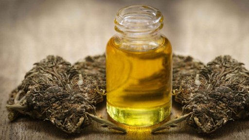 Extrato de Canábis Não Aditivo Mostra Eficácia contra Dor Lombar Crónica