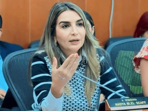 Partido Conservador se enfrenta a una reestructuración y a la definición de su candidato presidencial