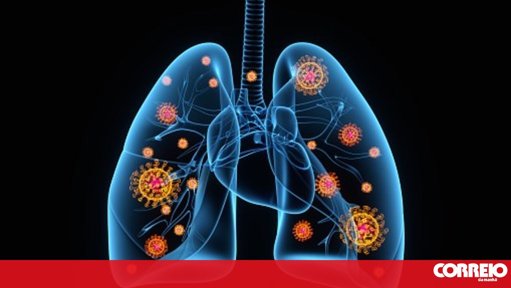 Plataforma Gripenet Reativada para Vigilância de Infeções Respiratórias com Apoio da População