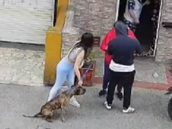 Ataques de perros de razas potencialmente peligrosas reabren debate sobre tenencia responsable