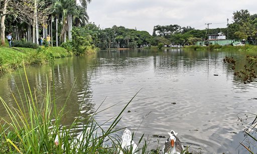 Cali se prepara para la Semana de la Biodiversidad con enfoque en bioeconomía y sostenibilidad