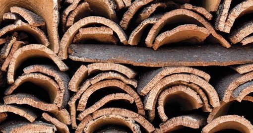 GNR Alerta para Aumento de Furtos de Cortiça no Distrito de Santarém