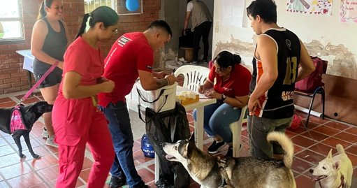 Salud Animal como Política Pública: Jornadas Masivas de Esterilización y Vacunación en los Municipios