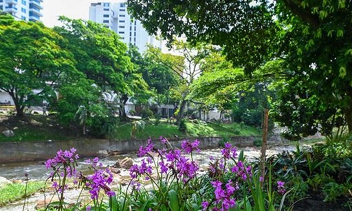 Cali embellece la ribera de su río emblemático con 120 nuevos jardines