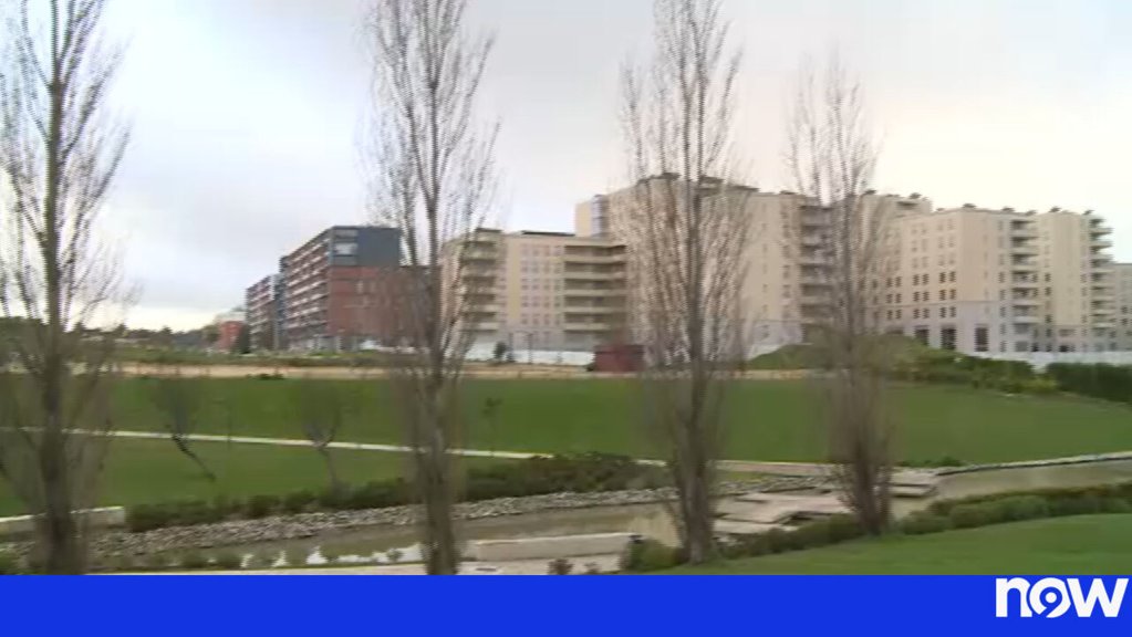 Número de Despejos Aumenta 14% e Associações Alertam para "Situação Dramática"