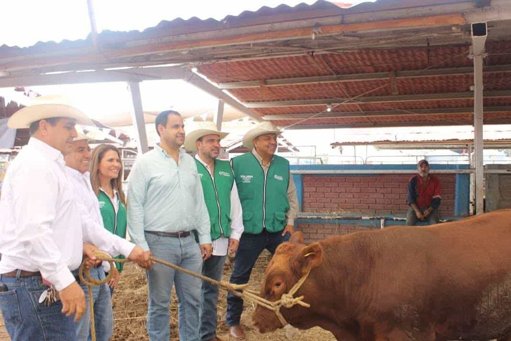 Impulsan sector ganadero en Coahuila con programas de mejoramiento genético y apoyos millonarios