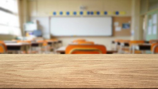 Governo Reforça Apoio a Colégios de Ensino Especial em 2,9 Milhões de Euros