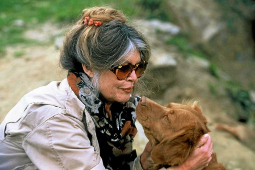 Brigitte Bardot dément sa mort et fustige l'auteur de la rumeur