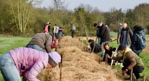 Les communes de la région nantaise se mobilisent pour la protection de la biodiversité locale