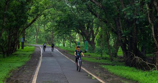 Parlamento Aprova Plano Estratégico 'Floresta 2050'
