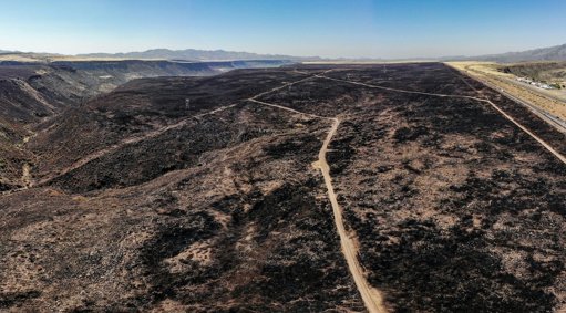 Governo Apoia 58 Municípios Afetados por Incêndios com Mais de 7 Milhões de Euros