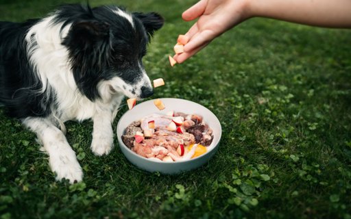 Le suédois The Nutriment Company acquiert Easy-Barf et s'implante en France