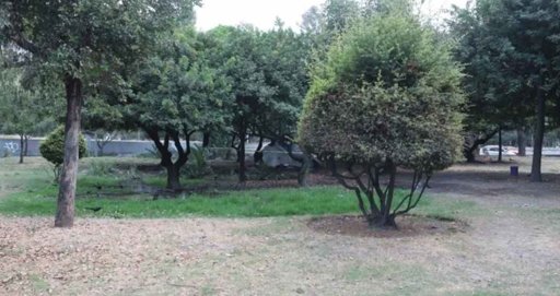 Hallan sin vida a hombre en situación de calle en la alcaldía Gustavo A. Madero