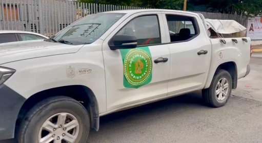 Controversia en Santa Catarina: denuncias de maltrato animal generan protestas y conflicto político