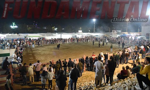 Cartaxo une tradição e negócios na Feira de Todos os Santos e ExpoCartaxo 2025