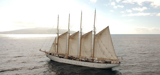 Expedição científica vai explorar e monitorizar o recife da Pedra do Valado no Algarve