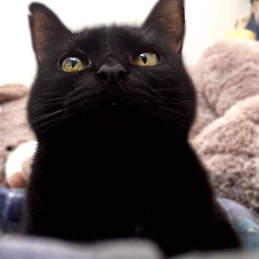 Congreso de Veracruz aprueba reforma para que gobernadora nombre y remueva al Fiscal General