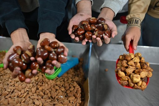 Feira de Todos os Santos no Cartaxo Mantém Viva a Tradição com Cultura e Dinamismo Económico