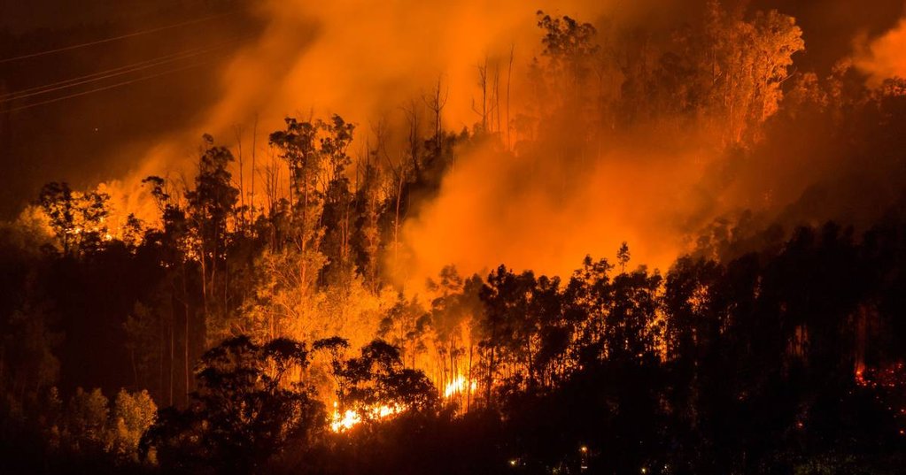 Debate em Portugal sobre ativação do Mecanismo Europeu de Proteção Civil para combater incêndios