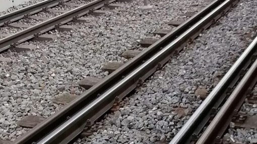 Projeto de alta velocidade prevê demolição de 185 habitações entre Porto e Oiã