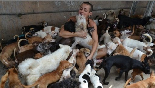 Personería de Medellín emite alerta por aumento de casos de acumulación compulsiva de animales