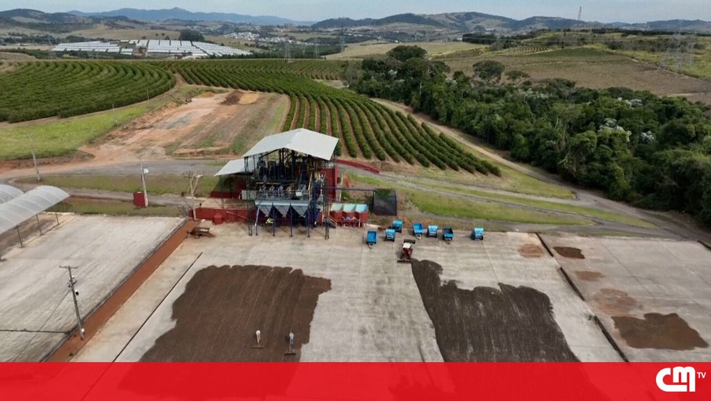 EUA impõem tarifa de 50% sobre café e cacau do Brasil, que procura mercados alternativos